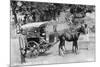 Mail Tonga, Nainital, India, 1917-null-Mounted Giclee Print