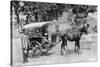 Mail Tonga, Nainital, India, 1917-null-Stretched Canvas