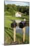 Mailboxes, Keystone, West Virginia-Natalie Tepper-Mounted Photo