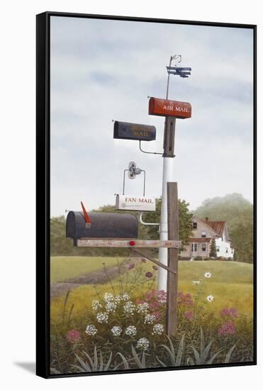 Mailboxes-David Knowlton-Framed Stretched Canvas