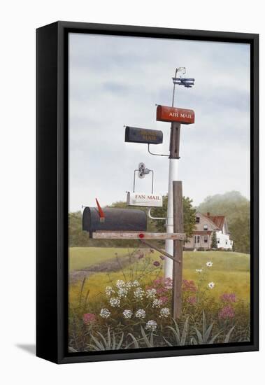 Mailboxes-David Knowlton-Framed Stretched Canvas