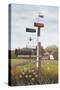 Mailboxes-David Knowlton-Stretched Canvas