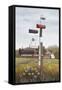 Mailboxes-David Knowlton-Framed Stretched Canvas