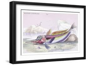 Mailed Gurnard-Robert Hamilton-Framed Art Print