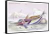 Mailed Gurnard-Robert Hamilton-Framed Stretched Canvas