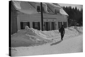 Mailman Delivering Mail after Heavy Snowfall, Rear View, Vermont, 1940-Marion Post Wolcott-Stretched Canvas