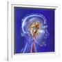 Main Arteries and Veins Within a Glass Head-null-Framed Art Print