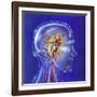 Main Arteries and Veins Within a Glass Head-null-Framed Art Print