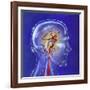 Main Arteries and Veins Within a Glass Head-null-Framed Art Print