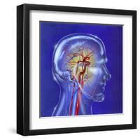 Main Arteries and Veins Within a Glass Head-null-Framed Art Print