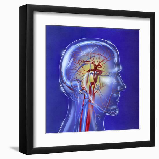 Main Arteries and Veins Within a Glass Head-null-Framed Art Print