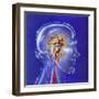 Main Arteries and Veins Within a Glass Head-null-Framed Art Print