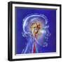 Main Arteries and Veins Within a Glass Head-null-Framed Art Print