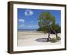 Main Beach at Fundu Lagoon at Low Tide, Fundu Lagoon Resort, Pemba Island, Zanzibar, East Africa-Paul Harris-Framed Photographic Print