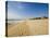 Main Beach, East Hampton, the Hamptons, Long Island, New York State, USA-Robert Harding-Stretched Canvas