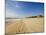 Main Beach, East Hampton, the Hamptons, Long Island, New York State, USA-Robert Harding-Mounted Photographic Print