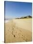 Main Beach, East Hampton, the Hamptons, Long Island, New York State, USA-Robert Harding-Stretched Canvas