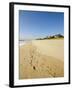 Main Beach, East Hampton, the Hamptons, Long Island, New York State, USA-Robert Harding-Framed Photographic Print