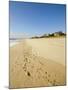 Main Beach, East Hampton, the Hamptons, Long Island, New York State, USA-Robert Harding-Mounted Photographic Print