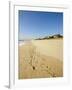 Main Beach, East Hampton, the Hamptons, Long Island, New York State, USA-Robert Harding-Framed Photographic Print