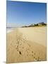 Main Beach, East Hampton, the Hamptons, Long Island, New York State, USA-Robert Harding-Mounted Photographic Print