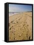 Main Beach, East Hampton, the Hamptons, Long Island, New York State, USA-Robert Harding-Framed Stretched Canvas