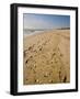 Main Beach, East Hampton, the Hamptons, Long Island, New York State, USA-Robert Harding-Framed Photographic Print