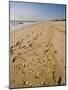 Main Beach, East Hampton, the Hamptons, Long Island, New York State, USA-Robert Harding-Mounted Photographic Print