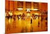 Main Concours in Grand Central Terminal, Manhattan, New York Cit-Sabine Jacobs-Mounted Photographic Print