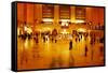 Main Concours in Grand Central Terminal, Manhattan, New York Cit-Sabine Jacobs-Framed Stretched Canvas