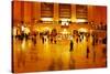 Main Concours in Grand Central Terminal, Manhattan, New York Cit-Sabine Jacobs-Stretched Canvas