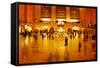 Main Concours in Grand Central Terminal, Manhattan, New York Cit-Sabine Jacobs-Framed Stretched Canvas