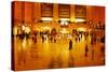 Main Concours in Grand Central Terminal, Manhattan, New York Cit-Sabine Jacobs-Stretched Canvas