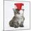 Main Coon Kitten, Goliath, Wearing a Father Christmas Hat-Mark Taylor-Mounted Photographic Print