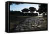 Main Decumano in the High Street, Ancient Ostia (Ostia Antica), Rome, Lazio, Italy, Europe-Oliviero Olivieri-Framed Stretched Canvas