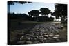 Main Decumano in the High Street, Ancient Ostia (Ostia Antica), Rome, Lazio, Italy, Europe-Oliviero Olivieri-Stretched Canvas