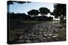 Main Decumano in the High Street, Ancient Ostia (Ostia Antica), Rome, Lazio, Italy, Europe-Oliviero Olivieri-Stretched Canvas