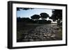 Main Decumano in the High Street, Ancient Ostia (Ostia Antica), Rome, Lazio, Italy, Europe-Oliviero Olivieri-Framed Photographic Print