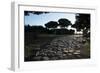 Main Decumano in the High Street, Ancient Ostia (Ostia Antica), Rome, Lazio, Italy, Europe-Oliviero Olivieri-Framed Photographic Print