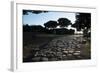 Main Decumano in the High Street, Ancient Ostia (Ostia Antica), Rome, Lazio, Italy, Europe-Oliviero Olivieri-Framed Photographic Print