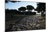 Main Decumano in the High Street, Ancient Ostia (Ostia Antica), Rome, Lazio, Italy, Europe-Oliviero Olivieri-Mounted Photographic Print