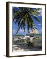 Main Dive Site in Belize, Ambergris Caye, Belize, Central America-Gavin Hellier-Framed Photographic Print