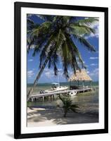 Main Dive Site in Belize, Ambergris Caye, Belize, Central America-Gavin Hellier-Framed Photographic Print