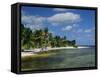 Main Dive Site in Belize, Ambergris Caye, Belize, Central America-Gavin Hellier-Framed Stretched Canvas