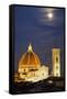 Main Duomo with Night Lights-null-Framed Stretched Canvas