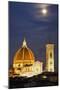 Main Duomo with Night Lights-null-Mounted Photographic Print