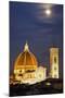 Main Duomo with Night Lights-null-Mounted Photographic Print