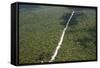 Main Highway of Guyana Cutting Through the Rainforest, Guyana, South America-Mick Baines & Maren Reichelt-Framed Stretched Canvas