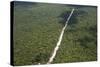 Main Highway of Guyana Cutting Through the Rainforest, Guyana, South America-Mick Baines & Maren Reichelt-Stretched Canvas