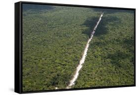 Main Highway of Guyana Cutting Through the Rainforest, Guyana, South America-Mick Baines & Maren Reichelt-Framed Stretched Canvas